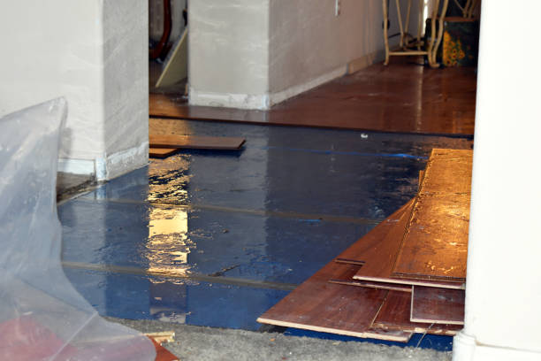 Professional Sewage Cleanup technician working in Easton, CA
